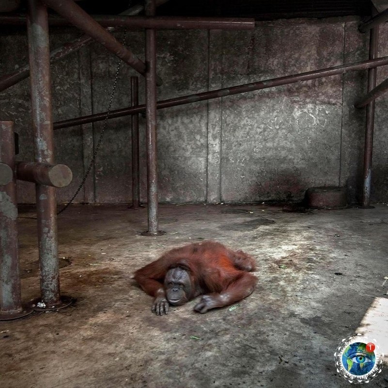 o eep, oce ap ee a caoo,  ca oa, a  a cao ee eo... ... - 4