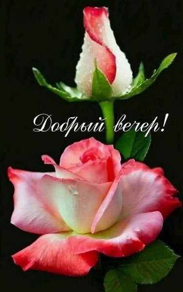   ,    . - 6  2020  17:22