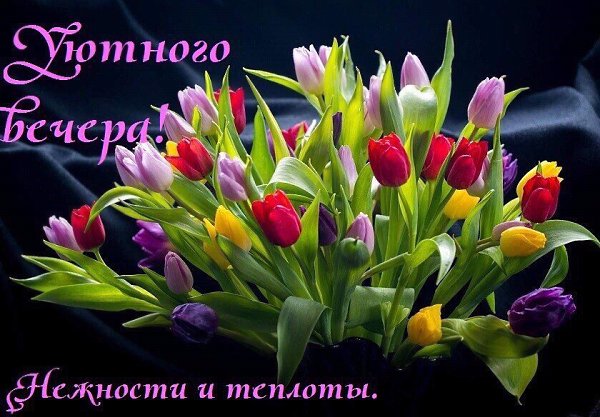   ,    . - 14  2020  17:35