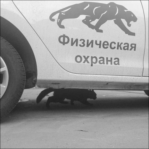  - 25  2020  23:33