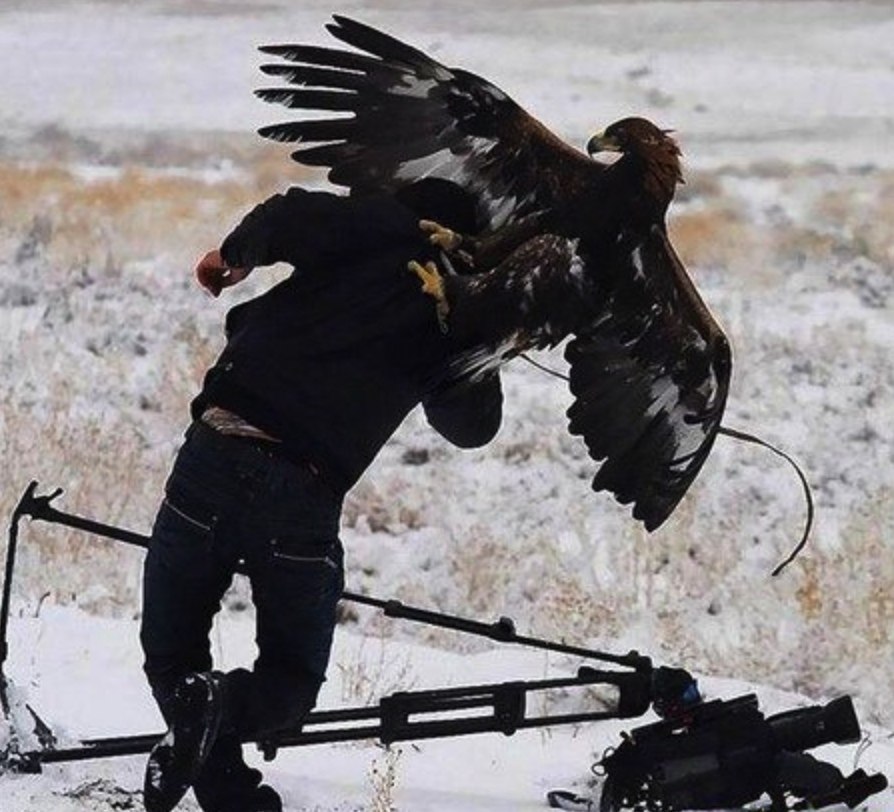 c  o National Geographic, o o  ye cay oo  o cya! - 2
