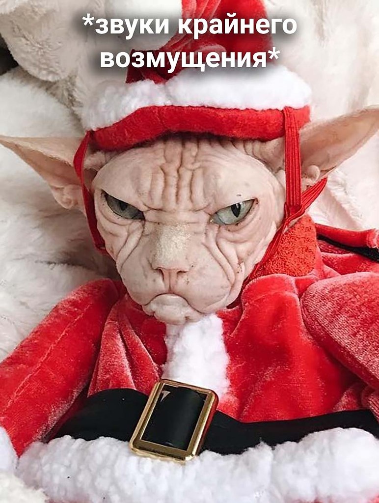     ,      - 2