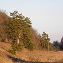 ���� ������, �������, 53 ���� - ��������� 3 ����� 2020 � ������ ������ ��������