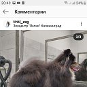 ���� ����, �����������, 65 ��� - ��������� 10 ����� 2020 � ������ ����. )))�