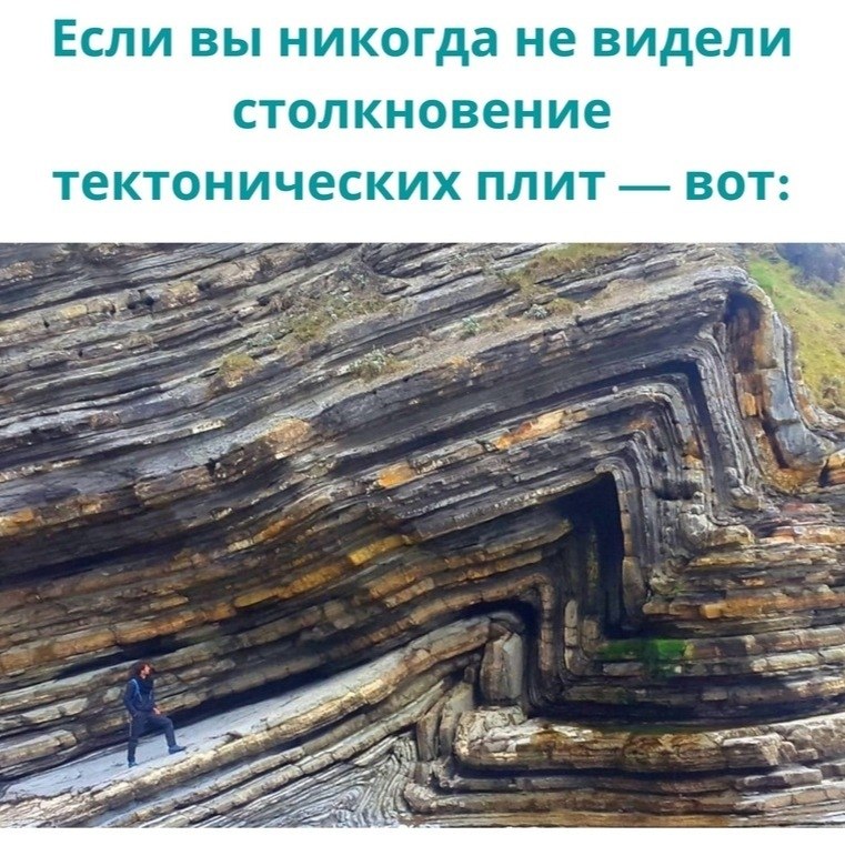 LIFE -  - 26  2020  19:06