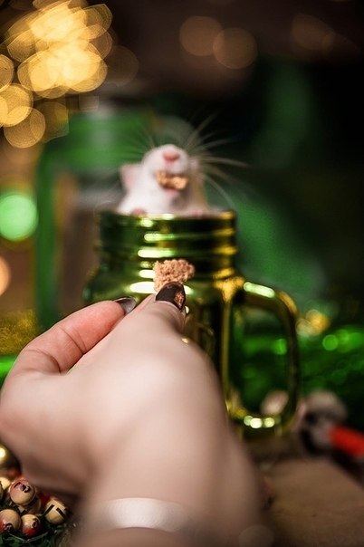 2020 o - o o o kk  k o  o kk kk   k! ... - 3