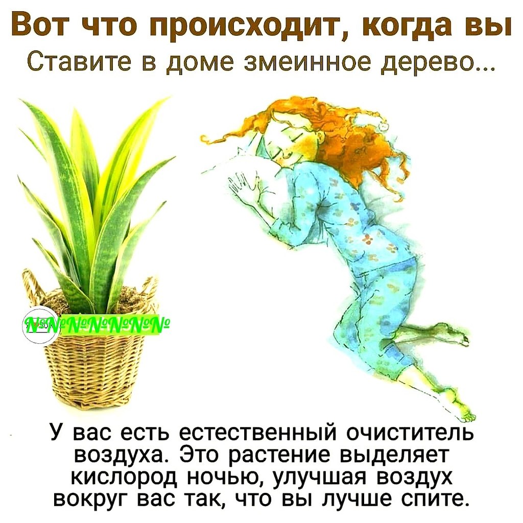    (  ) -      
