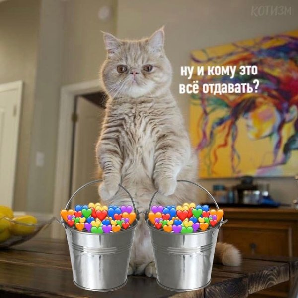      ,     