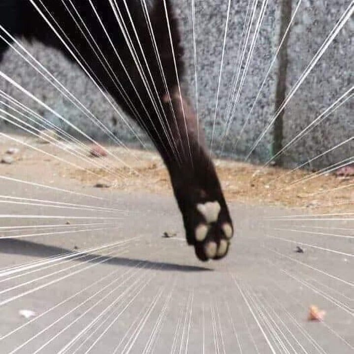 ! .   . - 2