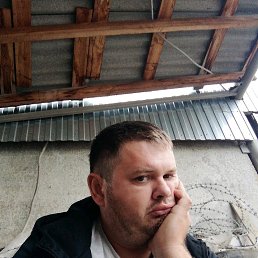 ���� ������, ���������, 39 ��� - ��������� 3 ������� 2020