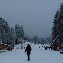  Sergei, , 38  -  11  2020    