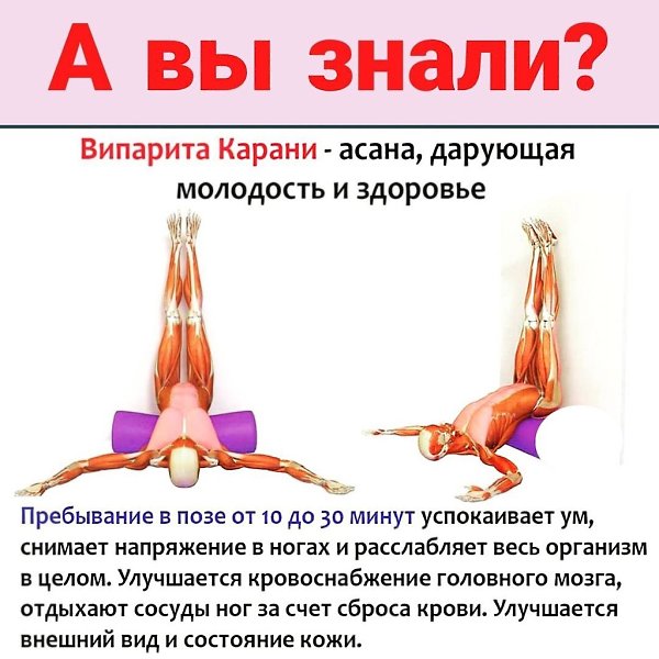 Я в такой позе в школьные годы стихи на кровати учила.