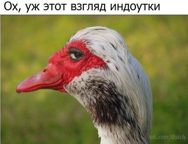 ������� - 20 ������� 2020 � 20:51