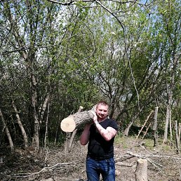 ���� ����, �����-���������, 49 ��� - ��������� 24 ����� 2020