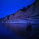 ���� �������, ������� - ��������� 8 ���� 2020 � ������ ���� ����������