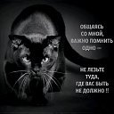 ���� �������, ����������, 47 ��� - ��������� 22 ������ 2020 � ������ ���� ����������