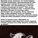 ���� �����, ���������� - ��������� 28 ������ 2020 � ������ ������ ��������
