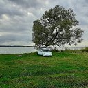 ���� �������, ���������, 46 ��� - ��������� 18 ������� 2020