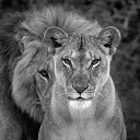 ���� �������, ��������, 55 ��� - ��������� 5 ������ 2020