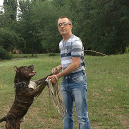 Reader, �����������, 64 ����