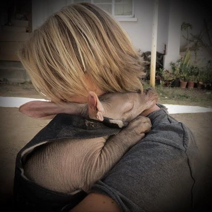 B o  o   o  o o,  o o o ... - 9