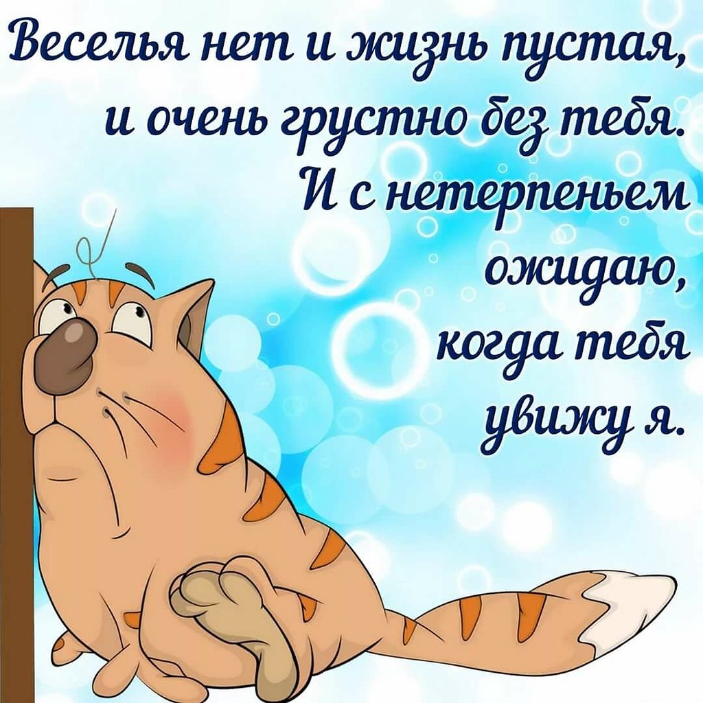   ,    . - 2  2020  21:24