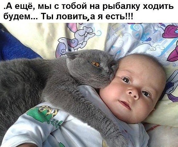 ������ ������� - 31 ����� 2020 � 16:03