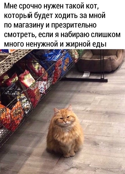 С таким и за новой одеждой не грех сходить.#юмор@bon