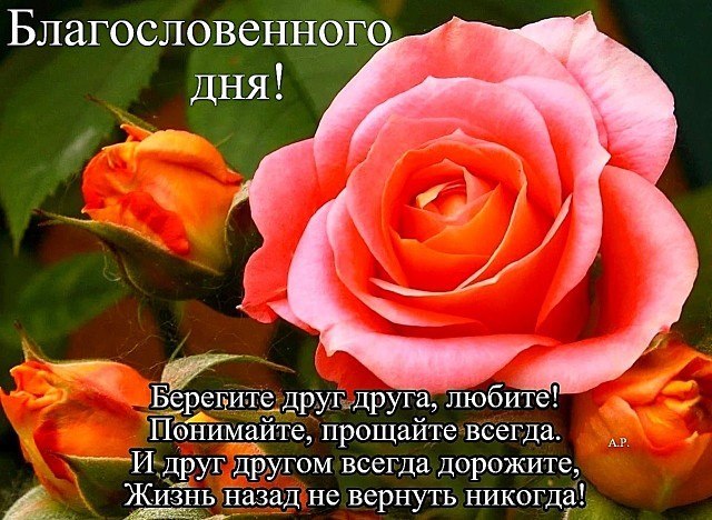   ,    . - 21  2020  11:10 - 3