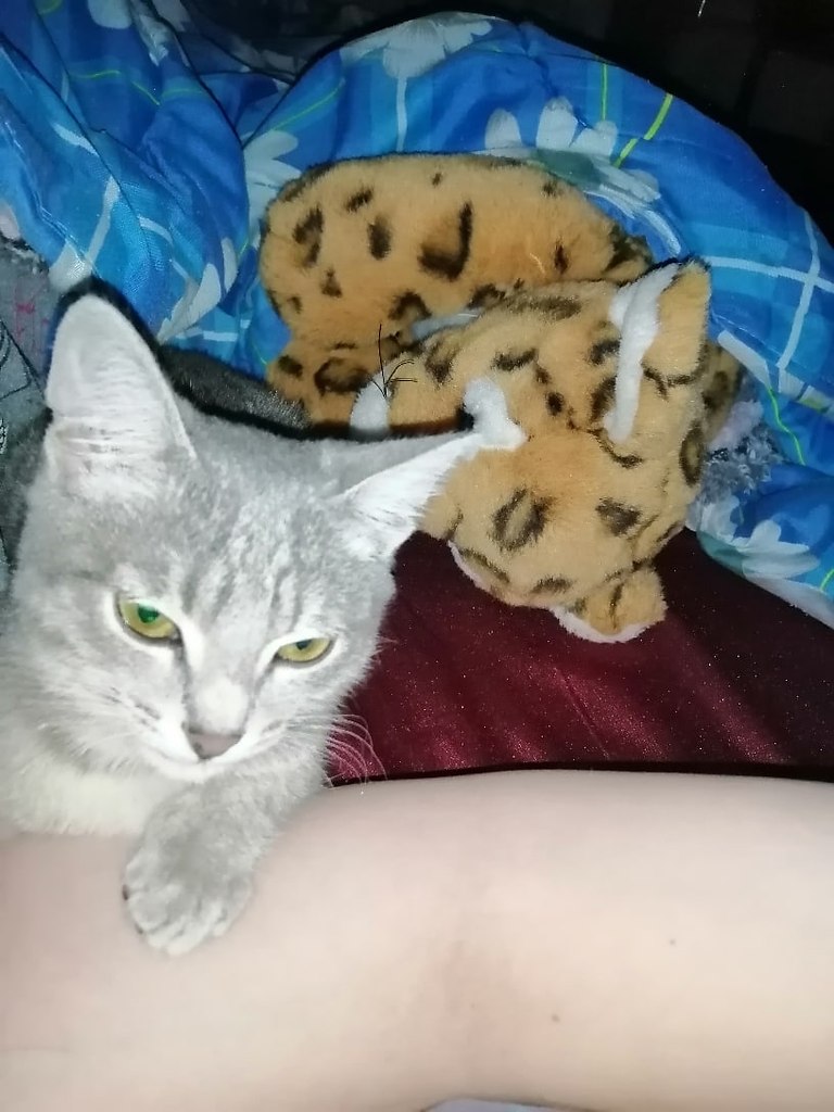 #_.  2019    ,     .   ... - 2