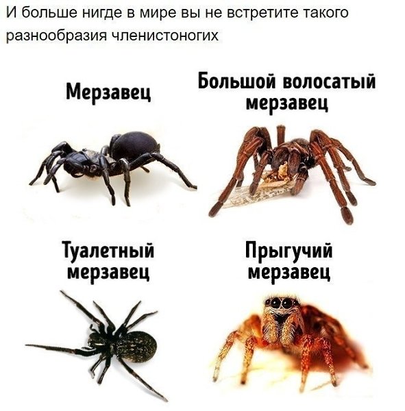 8     : - 7