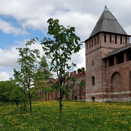 �������, ��������