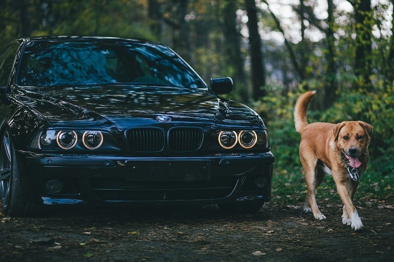 BMW e39