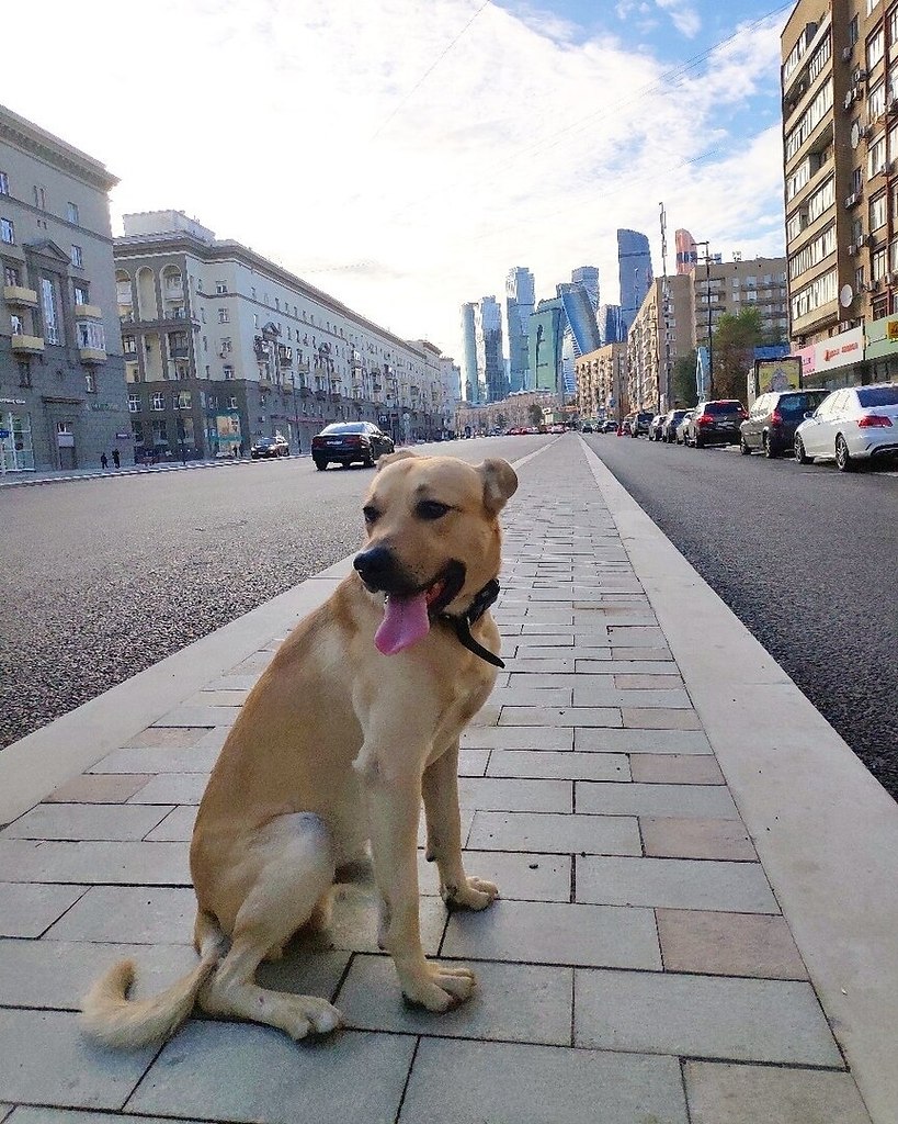 ������) ���� - ����� �� ����, ������� ������ ����� ���� � ������������ � ��������