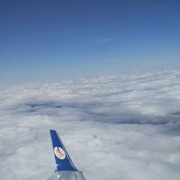 �����, ������, 50 ���