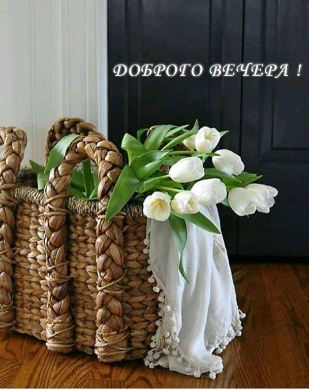   ,    . - 26  2020  18:07