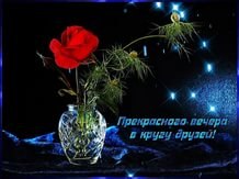 ���� �������� ���, ������� ���, ����������� �������������� ������, ������� ������� ��� ���� �������� ...