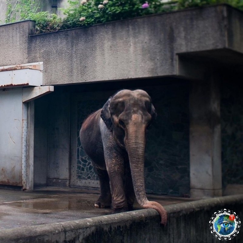 o eep, oce ap ee a caoo,  ca oa, a  a cao ee eo... ... - 6