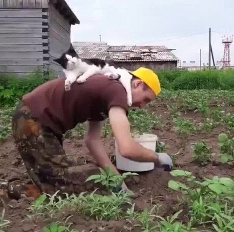         !