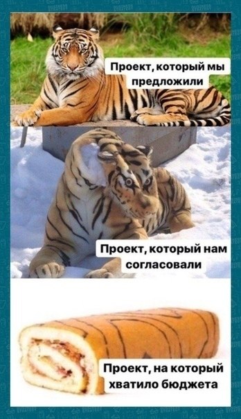       :  