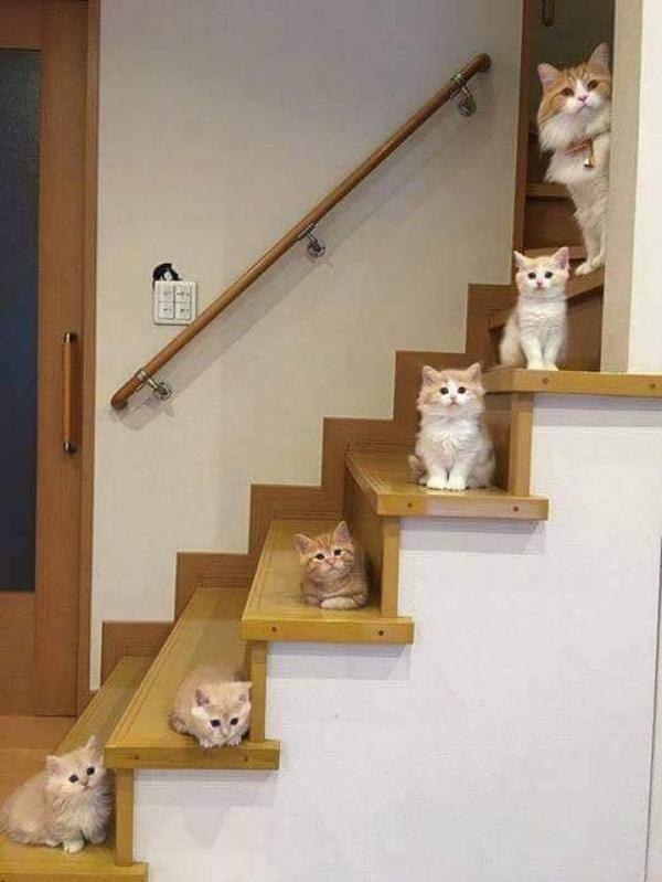    : , , , , , 