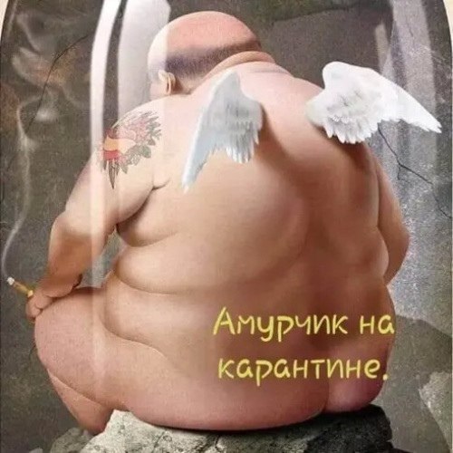  - 13  2020  08:39