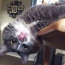 ���� ����, �����, 50 ��� - ��������� 29 ������� 2020 � ������ ���� ����������