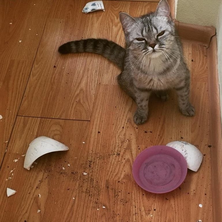 p o  .  !  o    ))) - 2