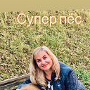 ���� �����, ������, 55 ��� - ��������� 17 ������ 2020 � ������ ���� ����������