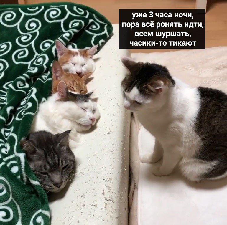      - 2