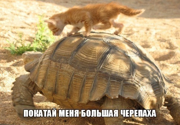    - 23  2020  18:30