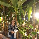 ���� ������, ���� - ��������� 7 ����� 2020