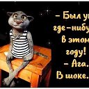 ���� Alekcandr, ������ - ��������� 21 ����� 2020 � ������ ������ ��������