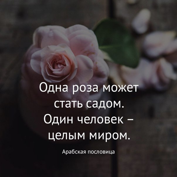    - 23  2020  19:06